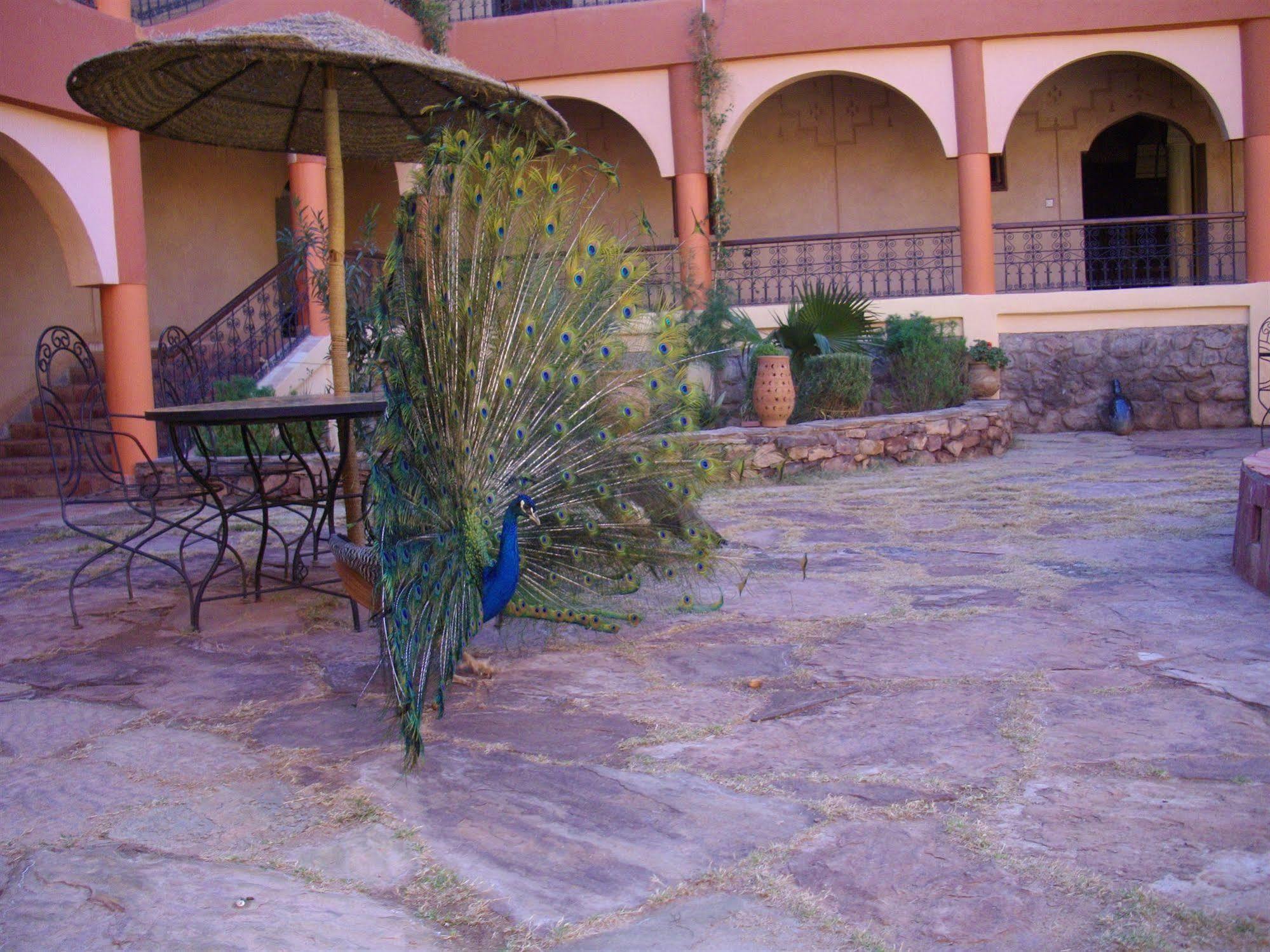 Tajda Kasbah Zitoune المظهر الخارجي الصورة